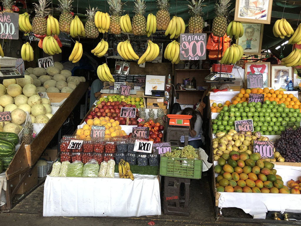 chilean food tours the market